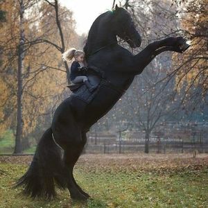 Meet your Posher, Fayçal